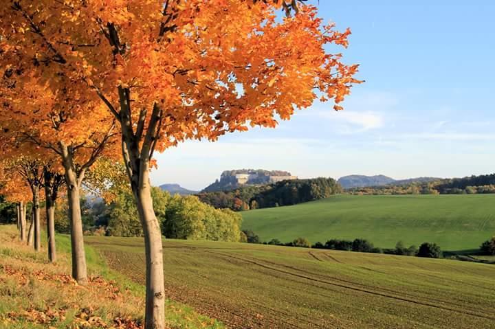 Feriendomizil Elbsandsteingebirge